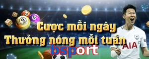 bsport